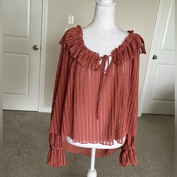 Anthropologie Tops - NWT Anthropologie Long Sleeve Sheer Striped Cropped Blouse Size XXL Color Rose